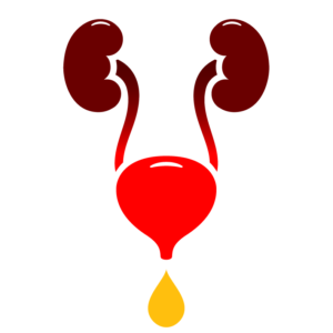 What is Overactive Bladder- OAB?